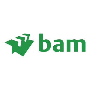 BAM Construction